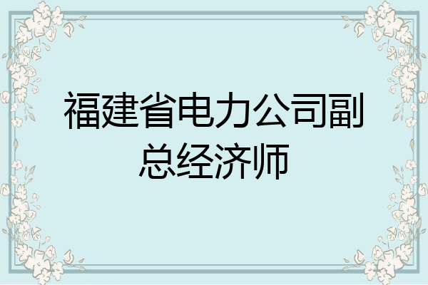 福建省电力公司副总经济师