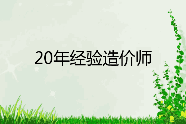 20年经验造价师