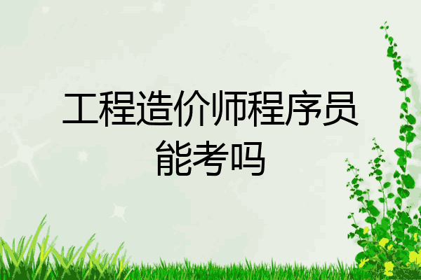 工程造价师程序员能考吗