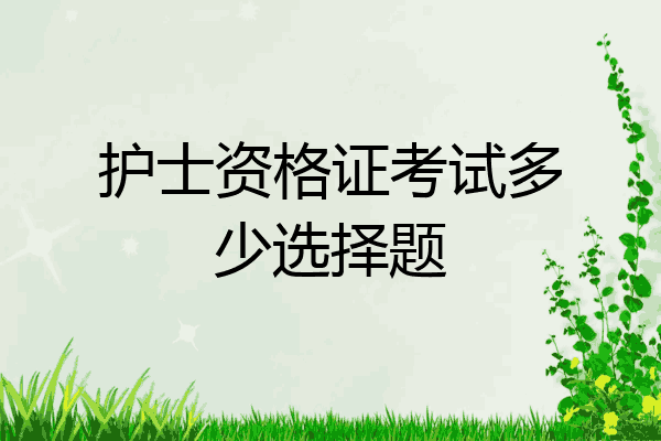 护士资格证考试多少选择题