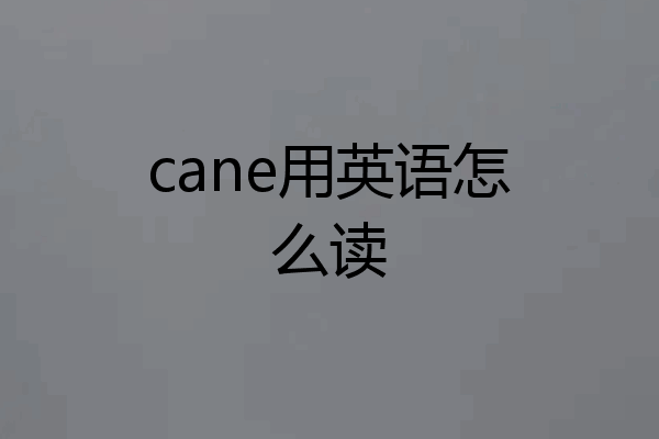 cane用英语怎么读