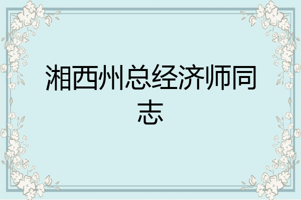 湘西州总经济师同志
