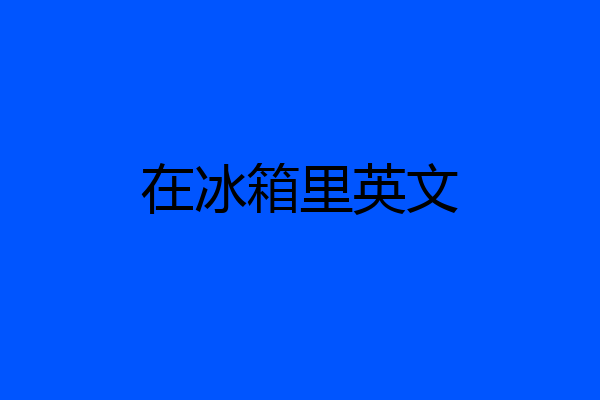 在冰箱里英文