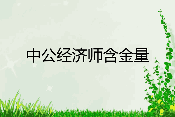 中公经济师含金量