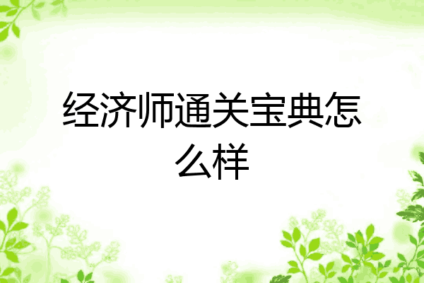 经济师通关宝典怎么样