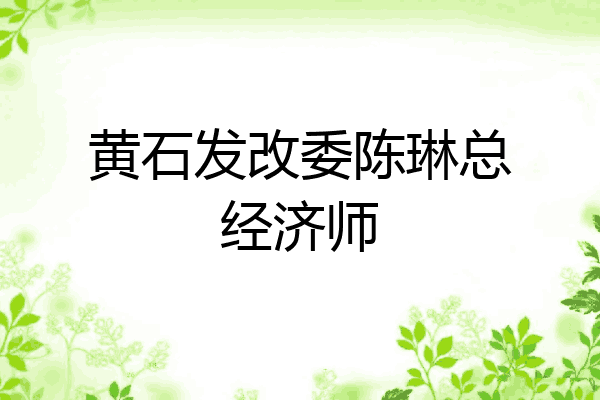黄石发改委陈琳总经济师