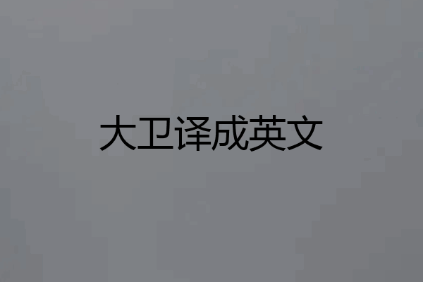 大卫译成英文