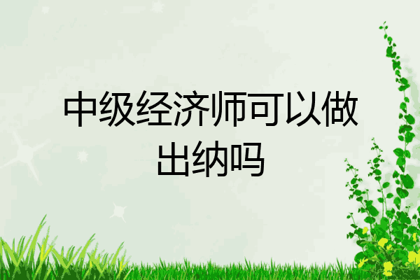 中级经济师可以做出纳吗