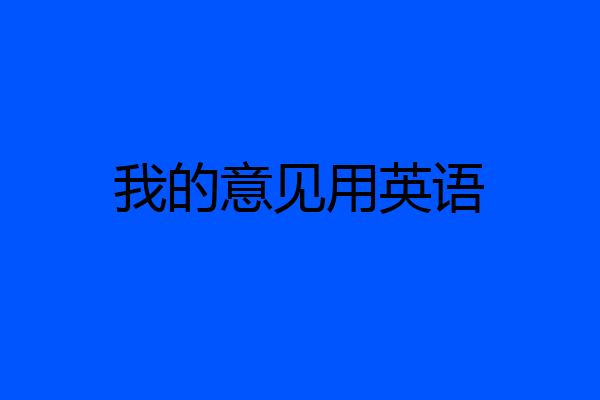 我的意见用英语