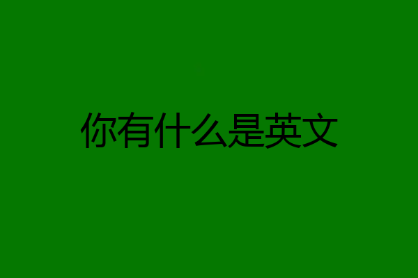 你有什么是英文