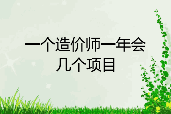 一个造价师一年会几个项目