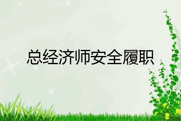 总经济师安全履职
