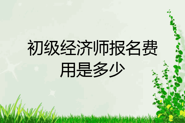 初级经济师报名费用是多少