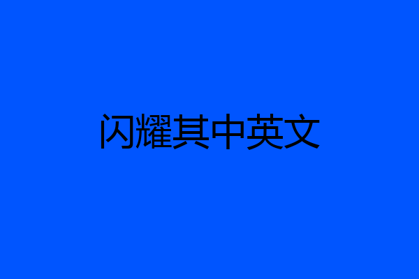 闪耀其中英文