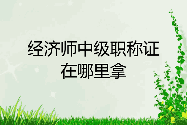 经济师中级职称证在哪里拿