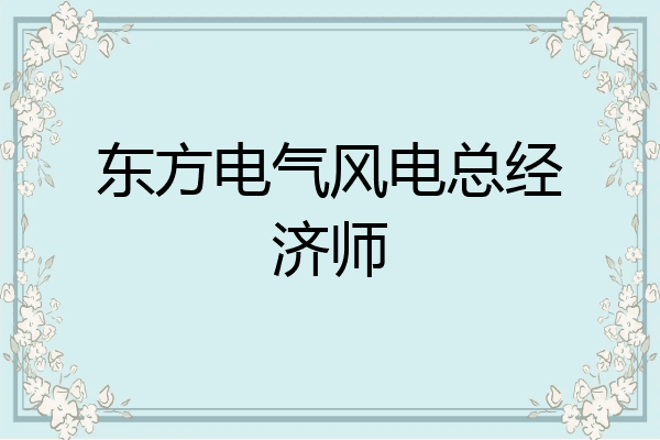 东方电气风电总经济师