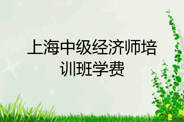 上海中级经济师培训班学费