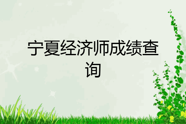 宁夏经济师成绩查询