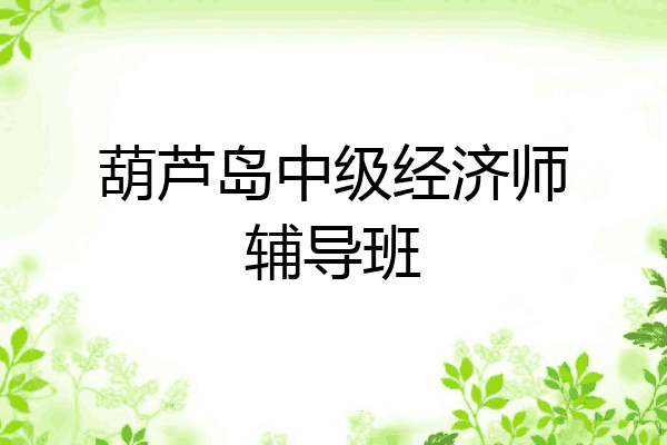 葫芦岛中级经济师辅导班