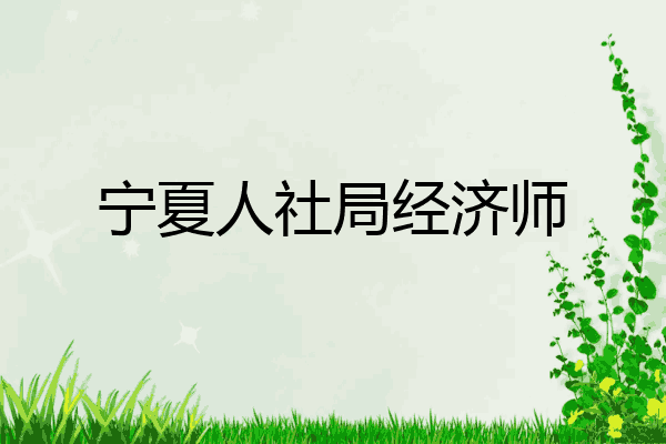 宁夏人社局经济师