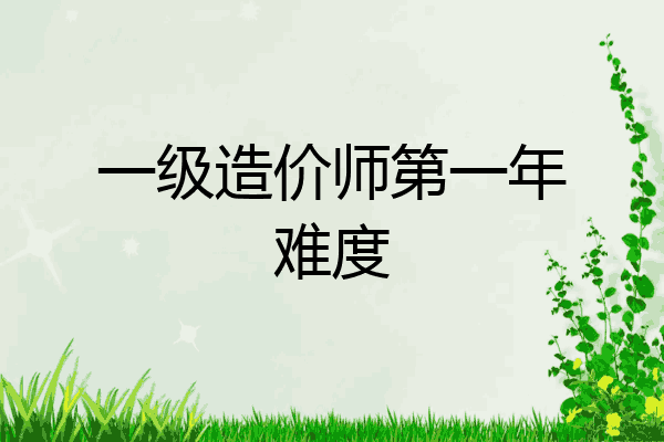 一级造价师第一年难度