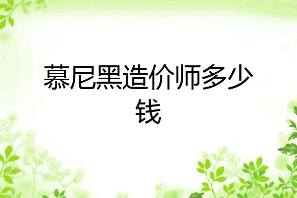 慕尼黑造价师多少钱