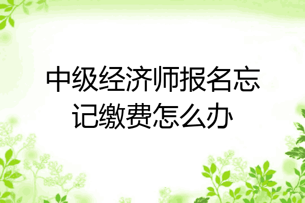 中级经济师报名忘记缴费怎么办