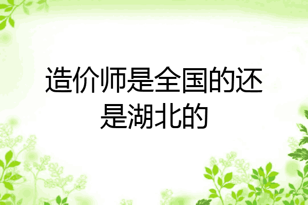 造价师是全国的还是湖北的