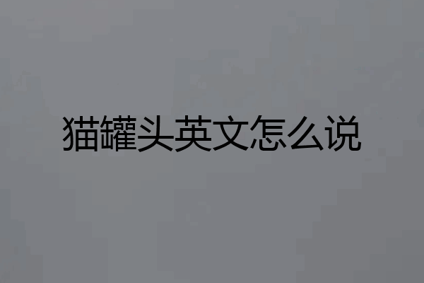 猫罐头英文怎么说