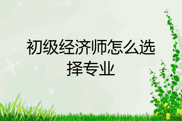 初级经济师怎么选择专业
