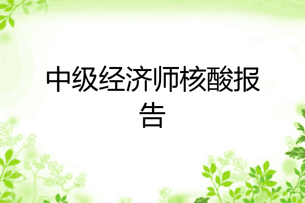 中级经济师核酸报告