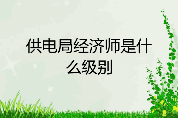供电局经济师是什么级别