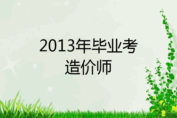 2013年毕业考造价师