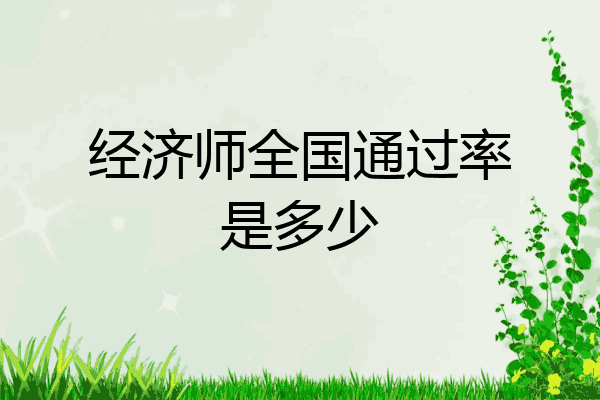 经济师全国通过率是多少