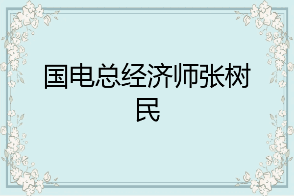 国电总经济师张树民
