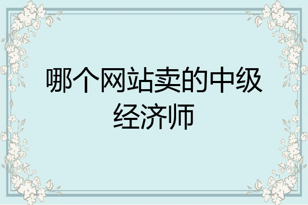 哪个网站卖的中级经济师