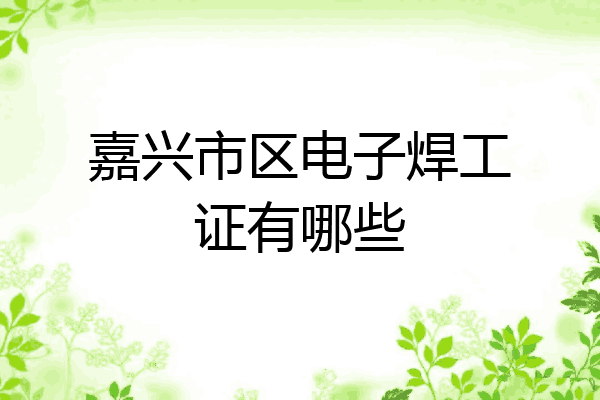 嘉兴市区电子焊工证有哪些