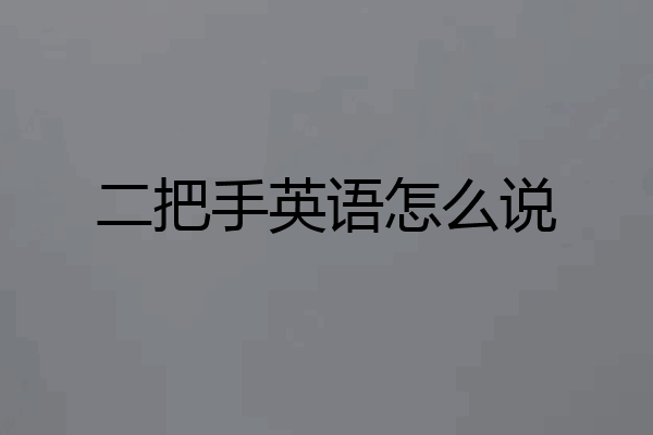 二把手英语怎么说