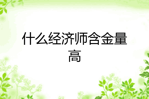 什么经济师含金量高