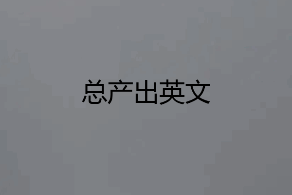 总产出英文