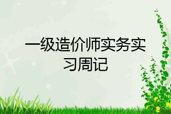 一级造价师实务实习周记