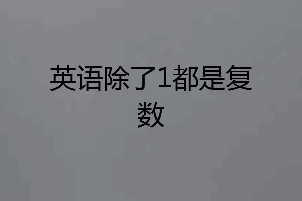 英语除了1都是复数