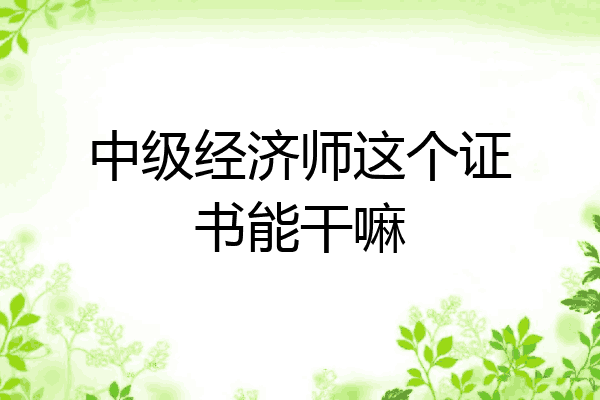 中级经济师这个证书能干嘛