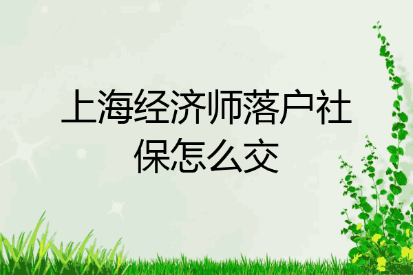 上海经济师落户社保怎么交