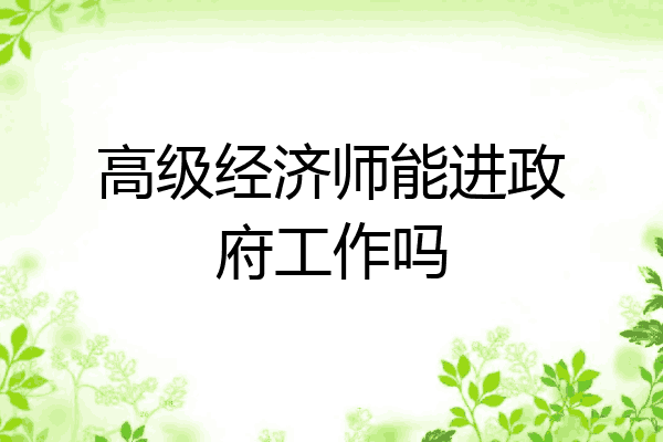 高级经济师能进政府工作吗
