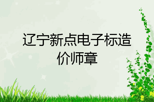 辽宁新点电子标造价师章