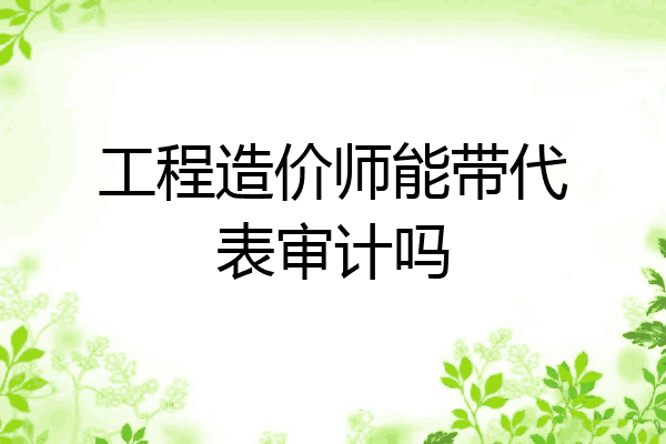 工程造价师能带代表审计吗