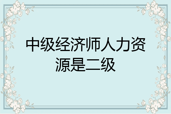 中级经济师人力资源是二级