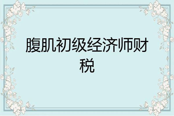 腹肌初级经济师财税