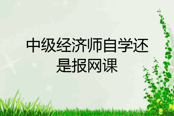 中级经济师自学还是报网课